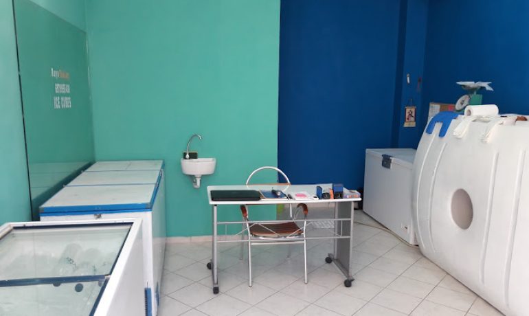 Pagopollis (Ice Cubes Factory )