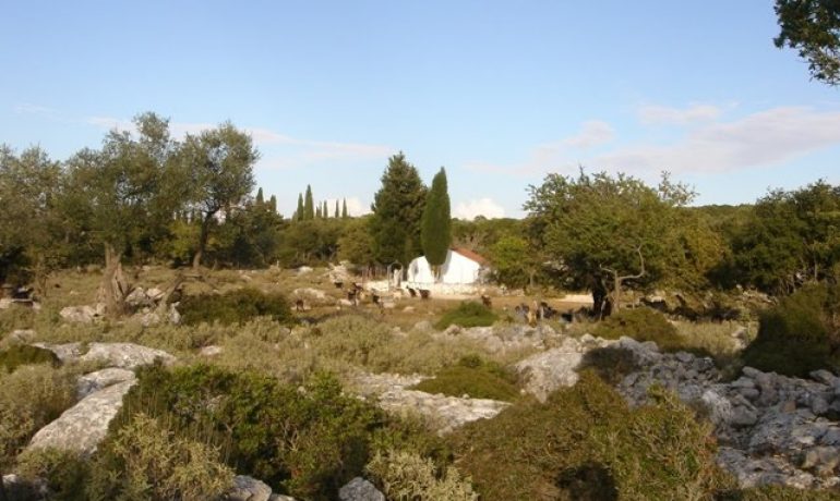 Anogi – Vigla – Rachi (Kioni)